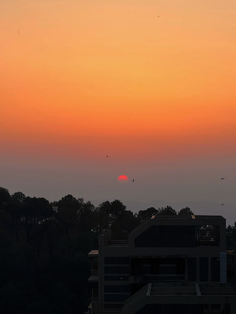 Hobby photo 1
